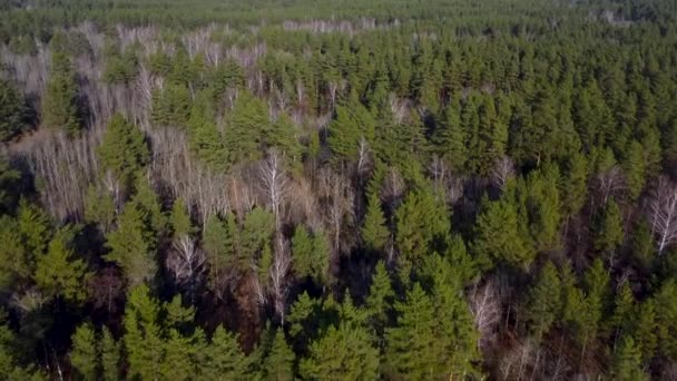 Bela Natureza Rússia Explorando Ecologia Uma Perspectiva Aérea Pilotar Drone — Vídeo de Stock