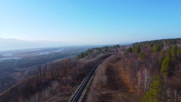 Spoorweg Het Bos Herfst Uitzicht Vanaf Een Drone Lege Spoorweg — Stockvideo