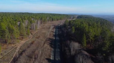 Ormandaki boş demiryolu sonbahar ormanında bir dron uçuruyor. Doğanın ormanları koruma ve yeniden ağaçlandırma kavramı. Yüksek kalite 4k görüntü