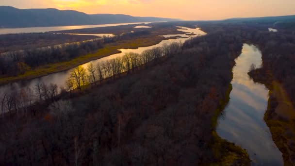 Podzimní Výhled Letecké Pohledy Řeku Volhu Ruský Les Hory Teple — Stock video