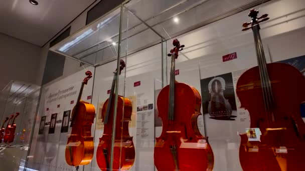 Famous Violin Museum Italy Cremona 2024 High Quality Footage — Stock Video