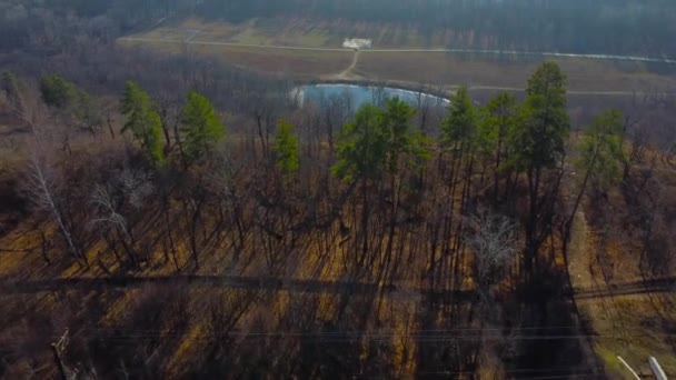 Θέα Από Ένα Drone Του Σιδηροδρόμου Και Γύρω Λίμνη Και — Αρχείο Βίντεο
