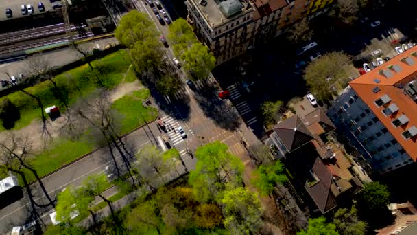 Çapraz Yolda Giden Bir Sürü Araba Var Şehir Manzarası Yok — Stok video