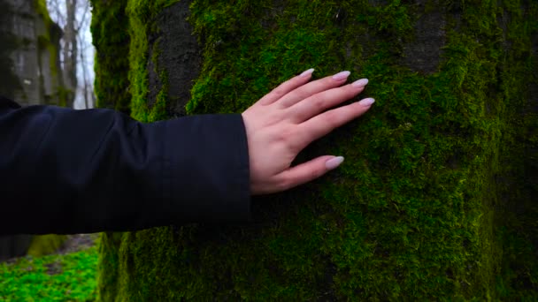 一个女人的手轻轻地触摸着覆盖着青苔的树的树皮 绿色一代人通过拯救地球来保护环境 森林养护 环境保护 — 图库视频影像