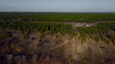 Rusya 'nın Güz Örtülü Hava Görüntüleri Volga Nehri, Ormanı ve Dağları Üzerinde Doğa İnsansız Hava Aracı. Rusya, Samara bölgesi. Yüksek kalite 4k drone görüntüsü