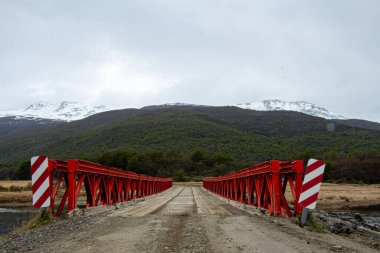 Arjantin 'de bulutlu bir gökyüzünde dağları olan bir ormanın ortasındaki yolun dikey görüntüsü.