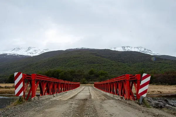 Arjantin 'de bulutlu bir gökyüzünde dağları olan bir ormanın ortasındaki yolun dikey görüntüsü.