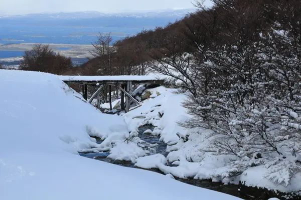 Patagonya 'nın güneyindeki Arjantin' in güzel dağları. Monte Fit Roy.