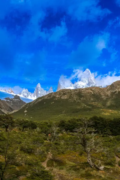 Patagonya 'nın güneyindeki Arjantin' in güzel dağları. Monte Fit Roy.