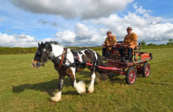 Great Gransden Cambrideshire England September 2022 Vintage Ljusmålad Heavy Horse — Stockfoto