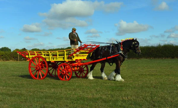 Great Gransden Cambrideshire England September 2022 Vintage Hay Vagn Dras — Stockfoto