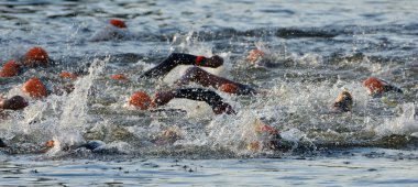 Turuncu şapkalı Triatlon Yüzücüleri. 