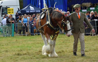 BÜYÜK GRANSDEN, CAMBRIDGESHIRE, İngiltere - 30 Eylül 2023: