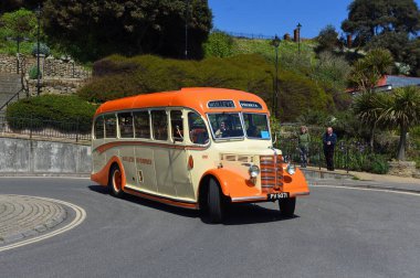 FELIXSTOWE, SUFFOLK, ENGLAND - MAYIS 05, 2024: Klasik Bedford OB Duple otobüsü.
