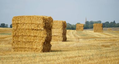 Bedfordshire İngiltere çiftçilerine saman yığını