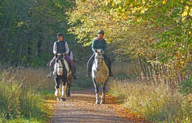 DUDDINGTON, NORTHAMPTONSHIRE, İNGİLTAN - 27 EKİM 2024: İnsanlar ormanda at halkası kuruyor Fineshade Ormanı 