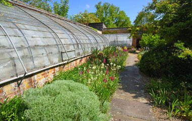 SHEPRETH, CAMBRIDGESHIRE, İngiltere - 23 Mayıs 2025: Güneşli bir günde seralar ve çiçekler