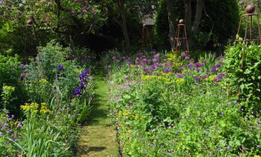 Dikilitaş Allium ve süsen çiçekleri ile çok renkli bahçe sınırı 
