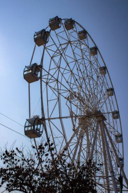 Parktaki dönme dolap.