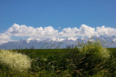 Dağları ve mavi gökyüzü olan güzel bir manzara.