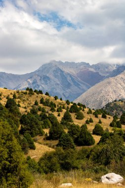 Dağları ve mavi gökyüzü olan güzel bir manzara.