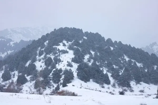 Arkasında ağaçlar ve mavi gökyüzü olan dağ manzarası
