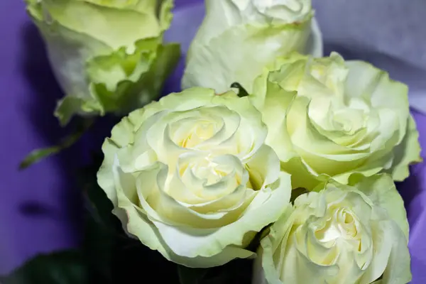 Bahçedeki güzel çiçekler