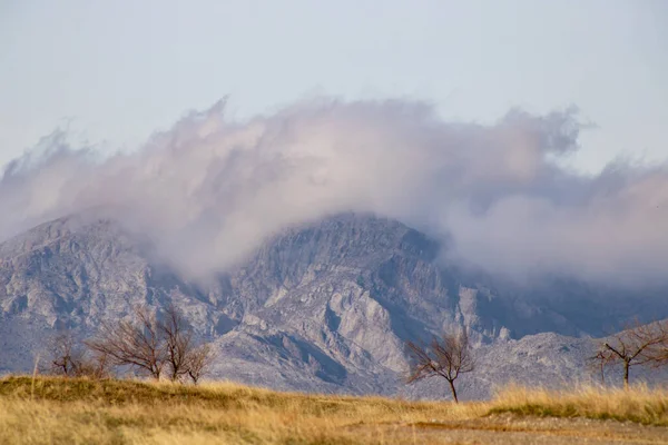 Dağın arka planındaki karla kaplı ağaçların manzarası.