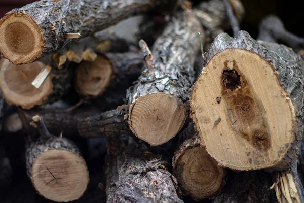 Yakacak odun yığınına yakın.