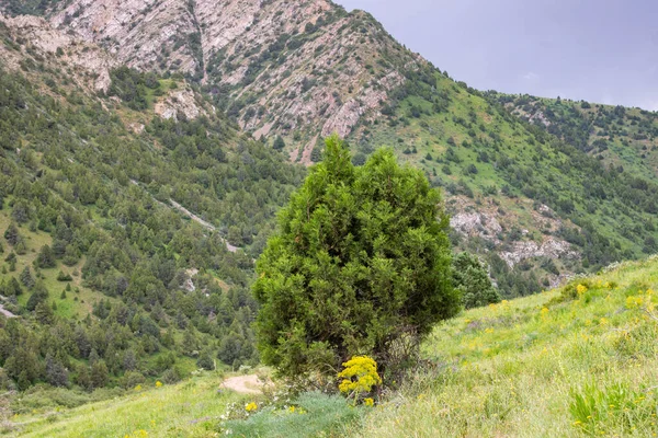 Dağların güzel manzarası