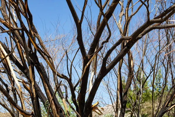 Doğanın güzel manzarası