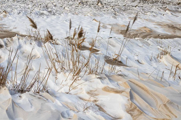 Akdeniz adasındaki çöldeki kum tepeleri, Kuzey Sibirya, Rusya, Kuzey