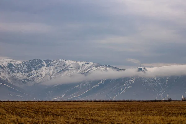 Wunderschöne Landschaft Mit Einem Berg Hintergrund — Stockfoto