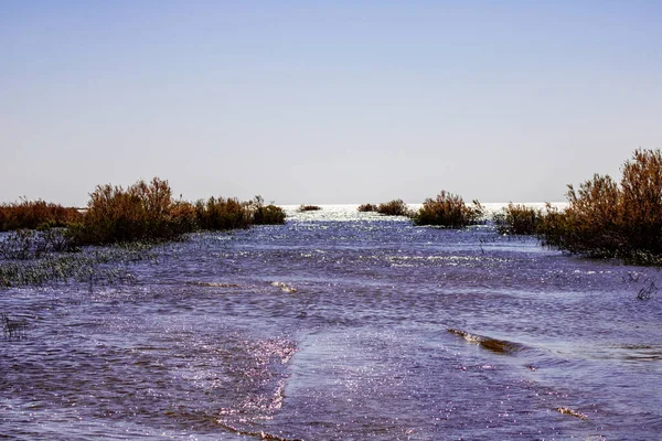 Parktaki nehrin güzel manzarası