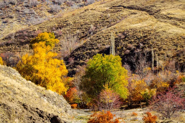 Sonbahar parkının güzel manzarası