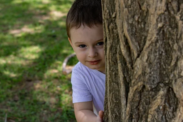 Mały Chłopiec Białej Koszulce Lesie — Zdjęcie stockowe