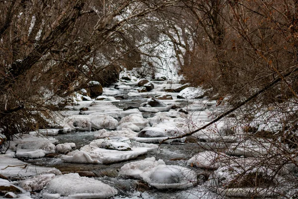 Ormanda karla kaplı ağaçlarla kaplı güzel bir manzara.