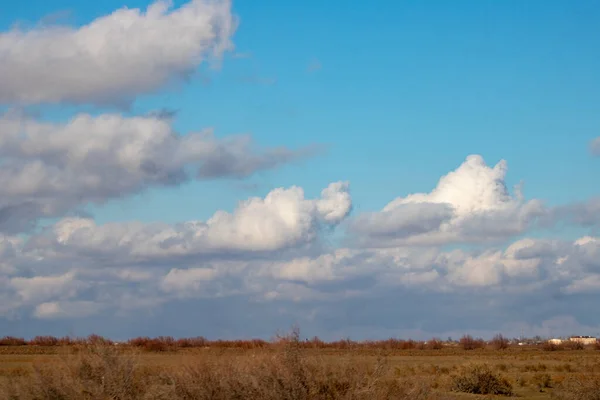 Doğanın güzel manzarası