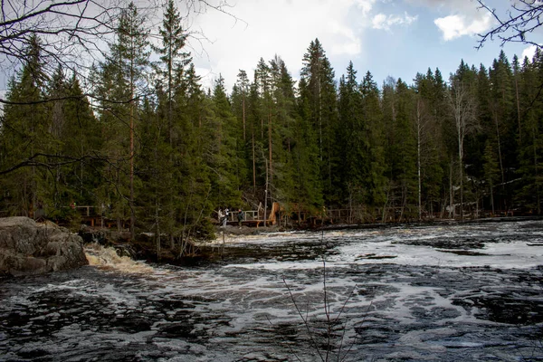 Paysage Rivière Dans Forêt Automne — Photo
