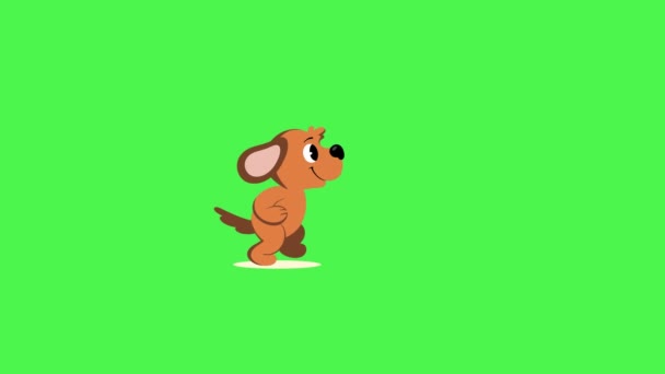Animacja Zielonego Ekranu Cykl Wyprowadzania Psa Klucz Chromowy Ręcznie Robiony — Wideo stockowe