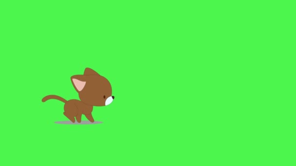 绿色屏幕动画 一个猫运行的2D循环 手工制作的动画高清画面隔离在绿色屏幕上 2D循环动画 4K动物动画 猫运动图形动画 — 图库视频影像
