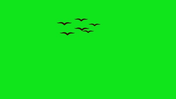 Gökyüzünde Bir Uçtan Diğer Uca Uçan Akbaba Sürüsünün Animasyonu Yeşil — Stok video