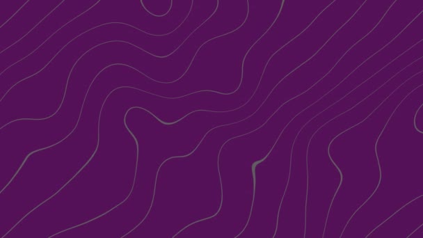 深紫色抽象背景动画中的波状灰线运动图形 加强你的视觉项目背景 动画的无缝循环背景 4K质量 制图线背景 — 图库视频影像