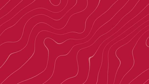 Vlnité Růžové Čáry Pohybová Grafika Červeném Abstraktním Pozadí Animace Rozšiřte — Stock video