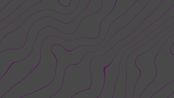 Gráfico Movimiento Líneas Púrpuras Onduladas Sobre Animación Fondo Abstracto Negro — Vídeos de Stock