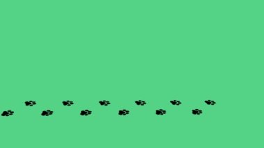Patiw Footstep yeşil arka planda farklı taraflardan düz bir çizgide yürüyor. Siluetler, patiler, ayak izleri, animasyon kedisi, köpek, köpek, yavru kedi. Animasyon Hayvan Ayak İzi simgesi 4K.