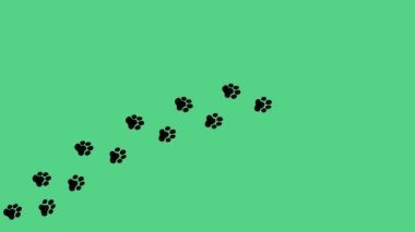 Paw Footstep yeşil arka planda farklı perspektiflerden bir eğri üzerinde yürüyor. Siluetler, patiler, ayak izleri, animasyon kedisi, köpek, köpek ayağı, kedi yavrusu. Animasyon Hayvan Ayak İzi simgesi 4K.