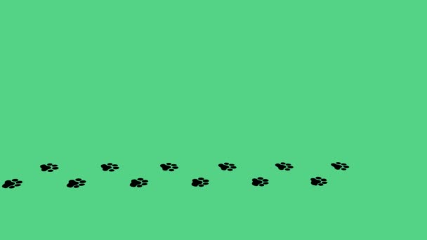 배경에 측면에서 직선으로 발걸음 실루엣 발자국 발자국 애니메이션 고양이 강아지 — 비디오