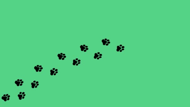 在绿色背景下 爪子的脚步声从不同的角度沿着一条曲线行走 轮廓脚步声标志动画猫 小狗脚 小猫的脚印 动画动物脚印图标 — 图库视频影像