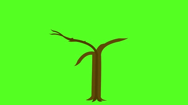 Animace Podzimního Stromu Rostou Bez Listí Proti Zelené Obrazovce Animovaný — Stock video